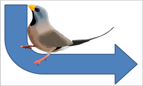 Long-tailed keyword bird on a Y-axis arrow.